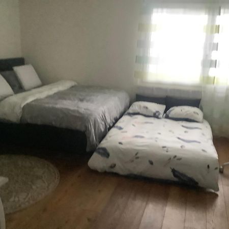 Chambre Spacieuse Et Confortable Avec Ecran Plat Oetwil an Der Limmat Extérieur photo