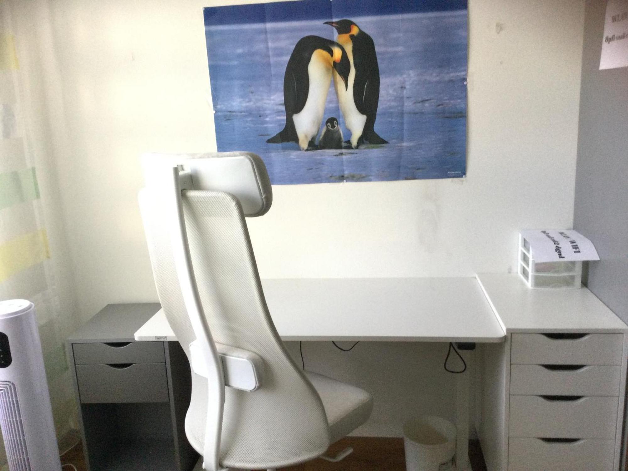 Chambre Spacieuse Et Confortable Avec Ecran Plat Oetwil an Der Limmat Extérieur photo